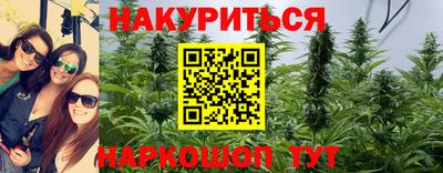 спайс Гагарин