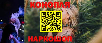 спайс Гагарин