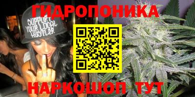 ECSTASY Гатчина