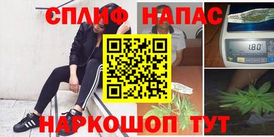 ECSTASY Гатчина