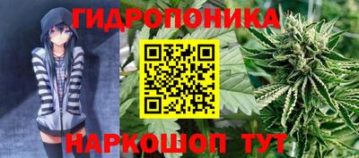 mdma Гай
